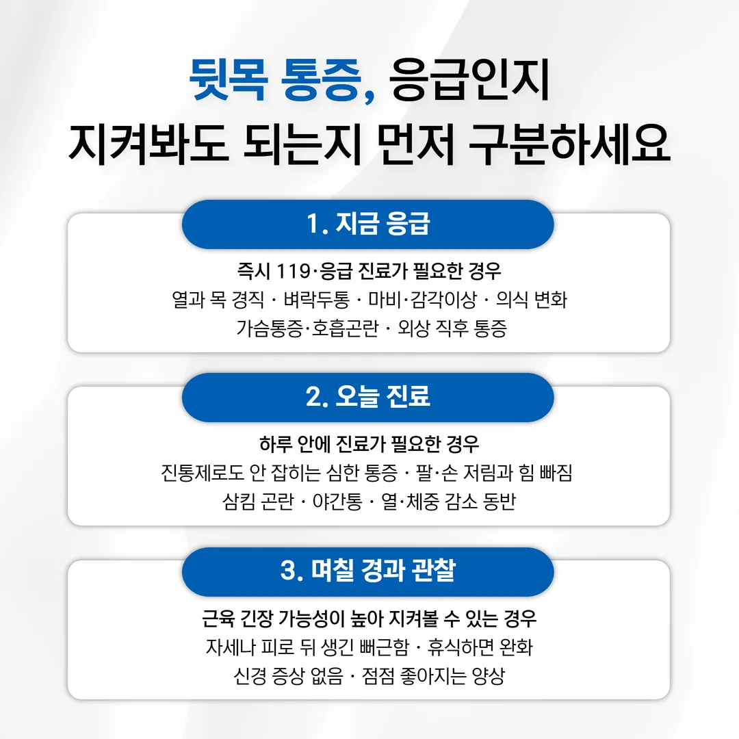 발열과 목 경직, 벼락 두통, 신경학적 증상, 흉부 통증 등 응급 신호를 정리한 도식