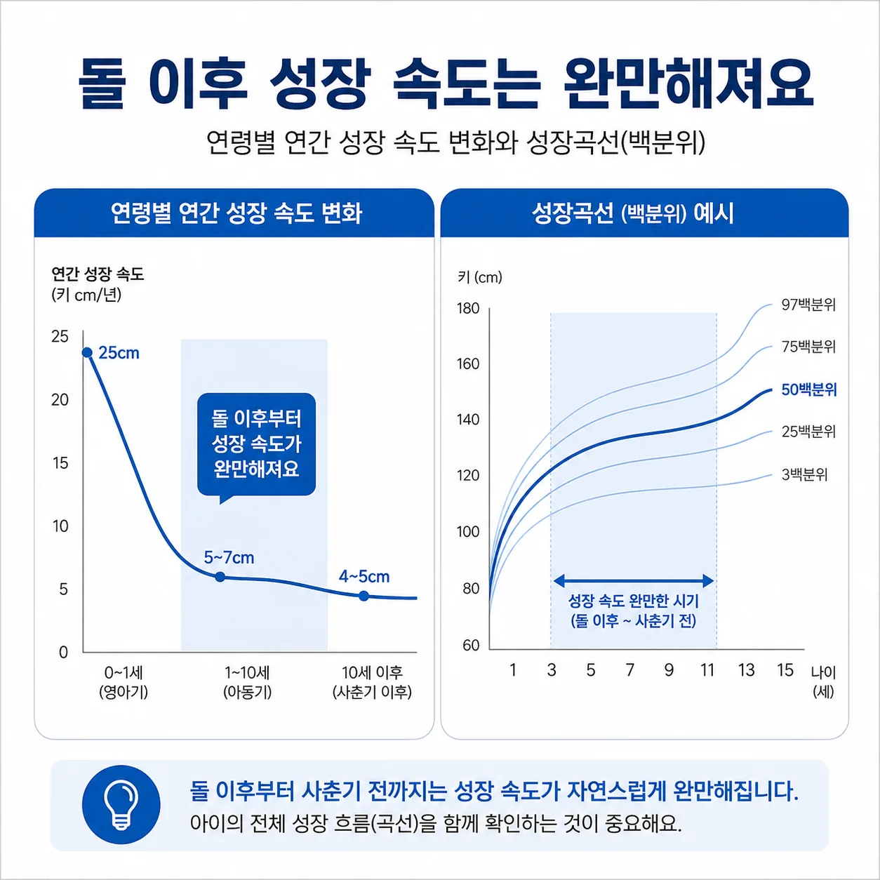 돌 이후 성장 속도가 느려지는 흐름을 보여 주는 성장곡선 도식