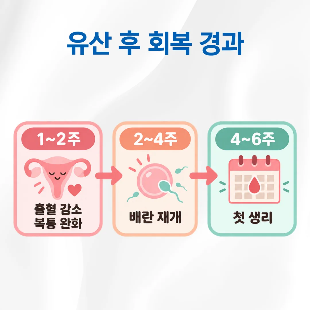 유산 후 회복 경과를 1~2주, 2~4주, 4~6주 세 구간으로 나눈 개념도