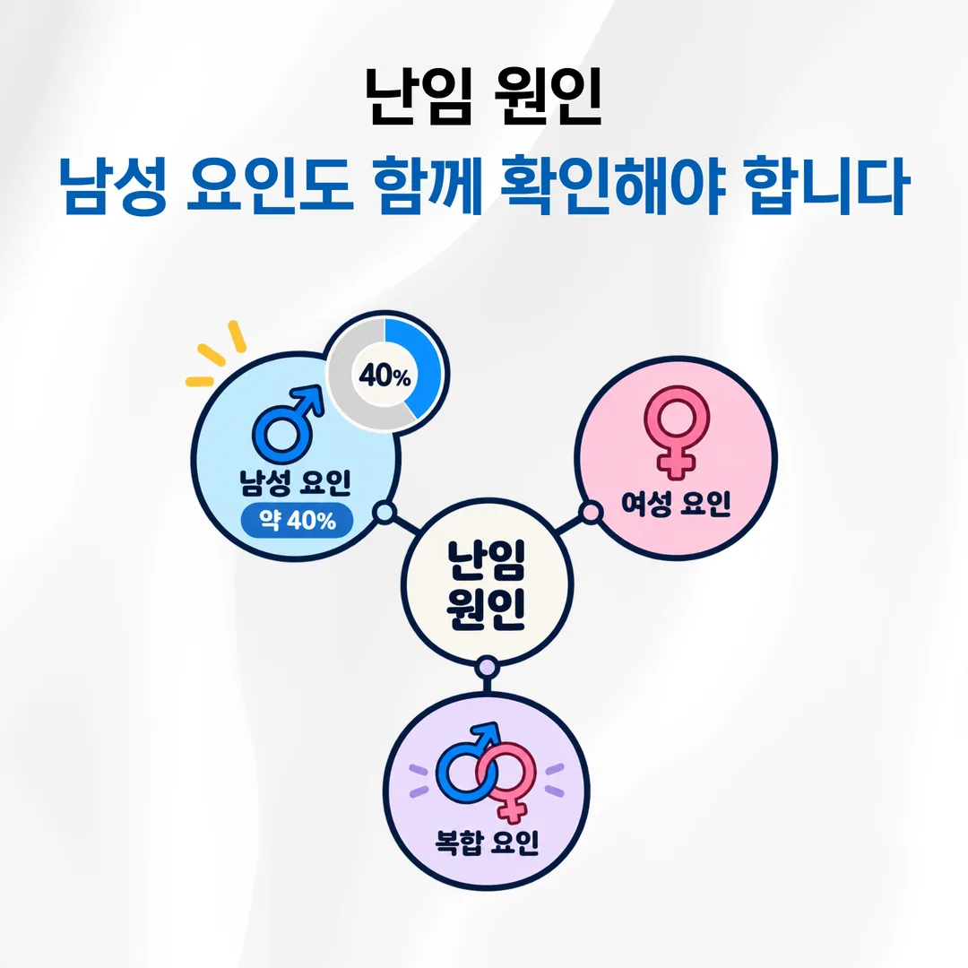난임 원인에서 남성 요인이 차지하는 비중을 나타낸 개념도