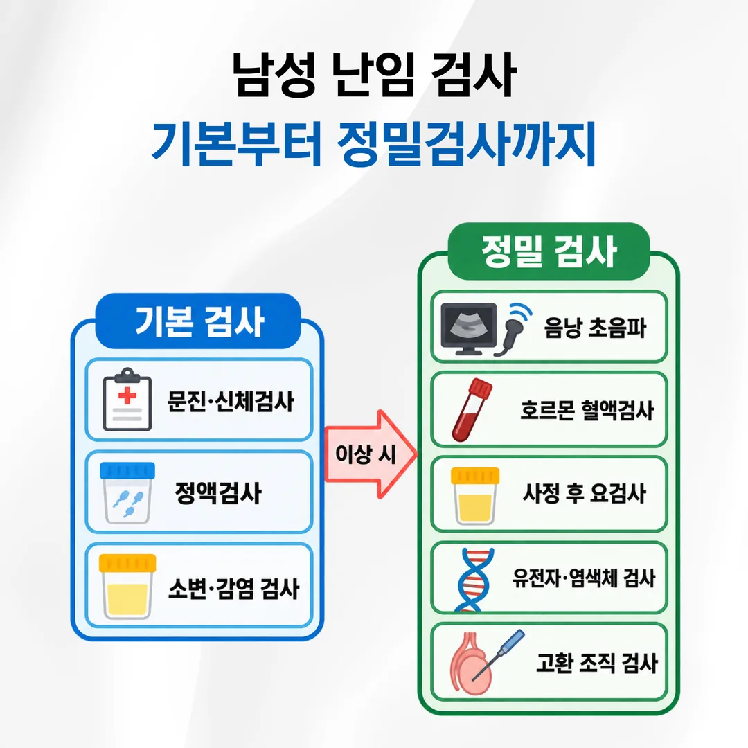 남성 난임 기본 검사에서 정밀 검사로 이어지는 순서 흐름도
