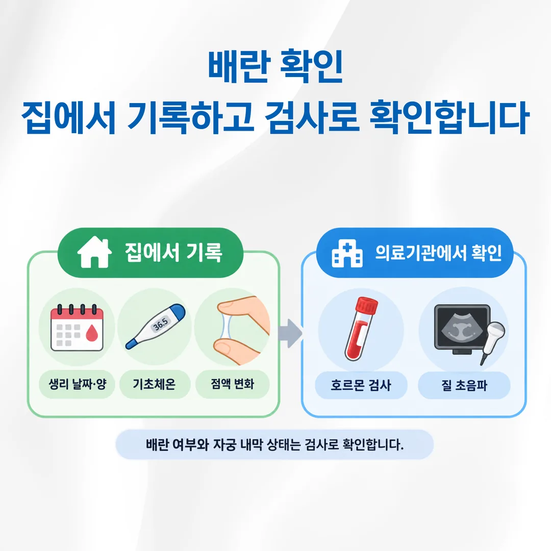 배란 확인 자료와 의료기관 검사의 역할 구분 도식