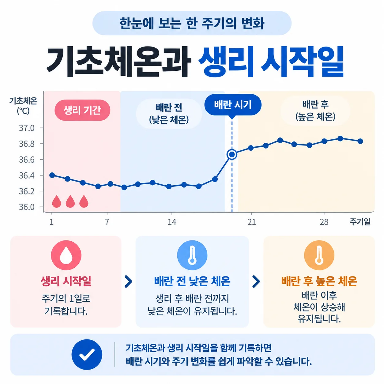 기초체온 곡선과 생리 시작일 기록을 함께 읽는 방법을 설명한 개념도