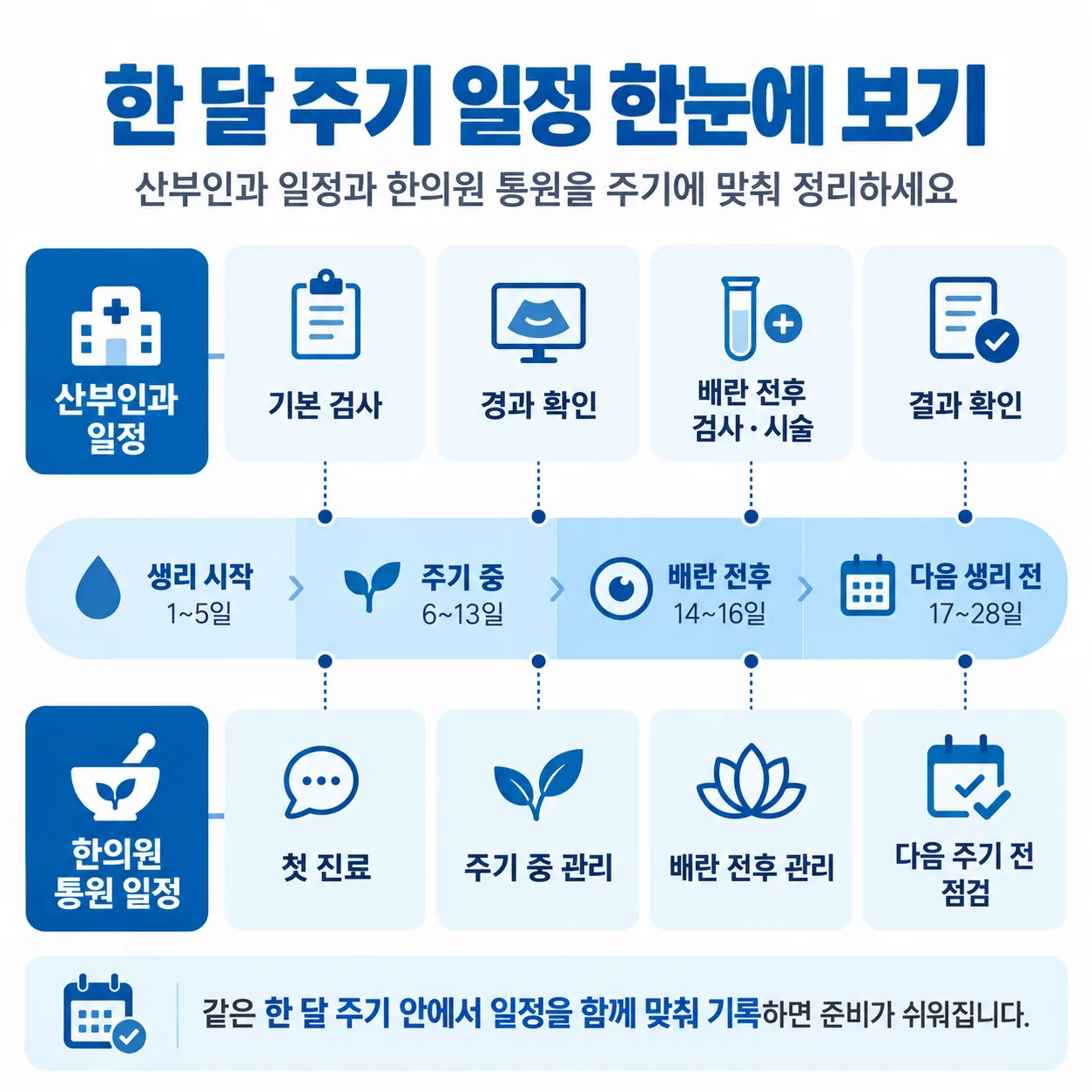 산부인과 검사 일정과 한의원 내원 일정을 주기에 맞춰 배치하는 방법을 보여 주는 개념도