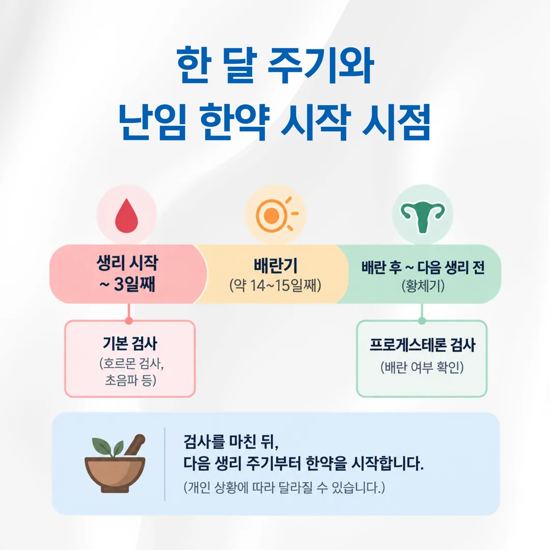 월경주기 구간별로 시기가 정해진 난임 검사 개념도